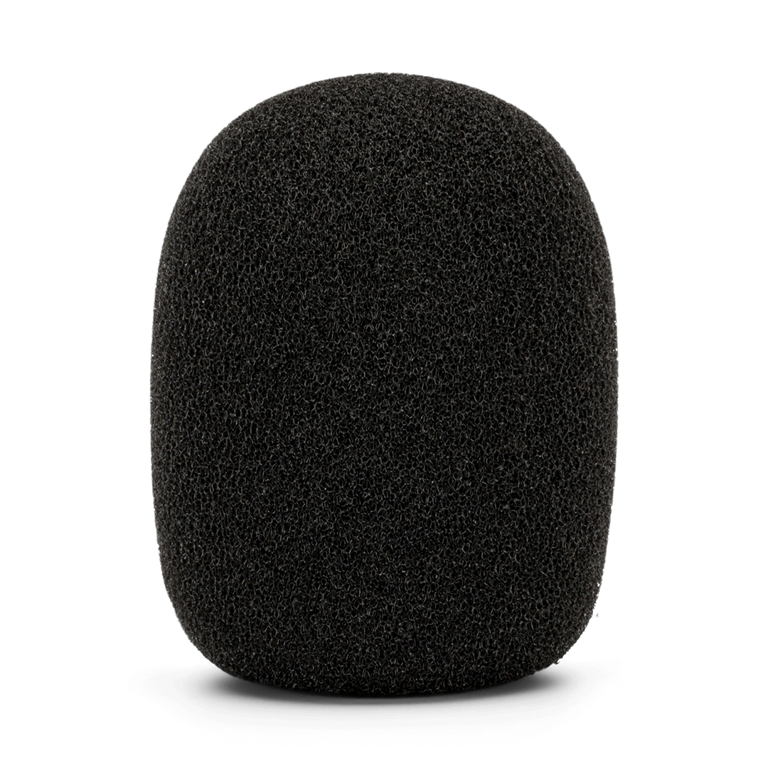 Rode WS2 Windscreen with Pop Filter